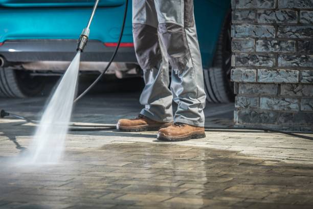 Best Driveway Pressure Washing  in Twentynine Palms, CA