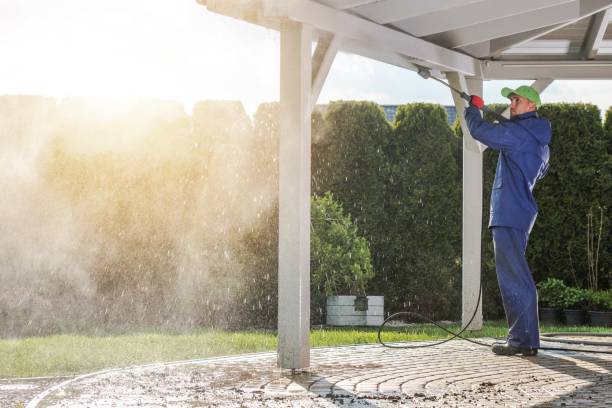 Best Pre-Holiday Cleaning  in Twentynine Palms, CA