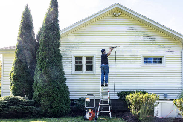 Best Patio and Deck Pressure Washing  in Twentynine Palms, CA