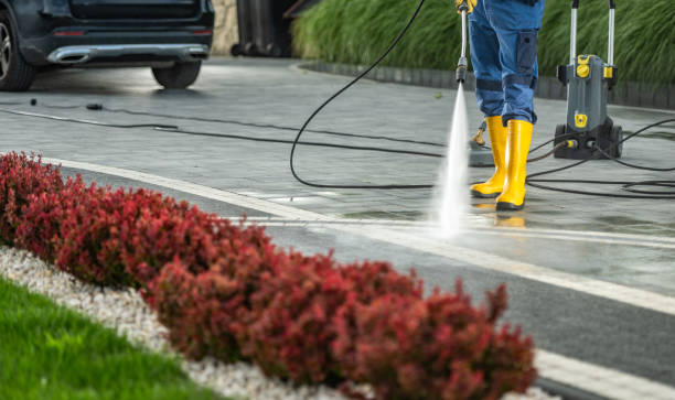 Best Gutter Cleaning  in Twentynine Palms, CA